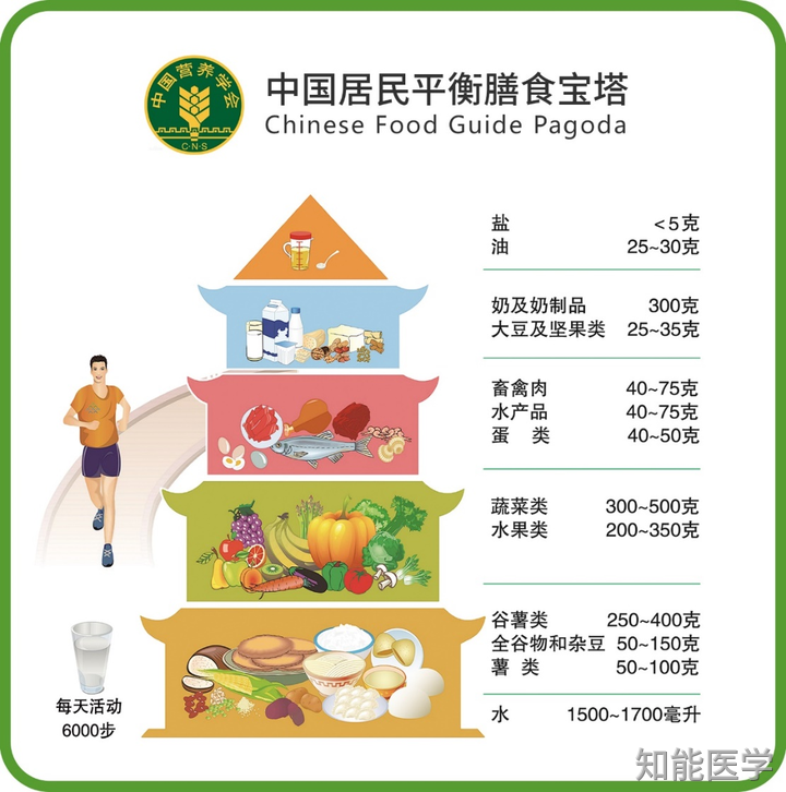 膳食寶塔