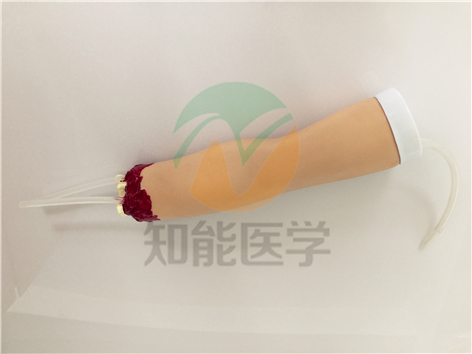 創傷護理模型